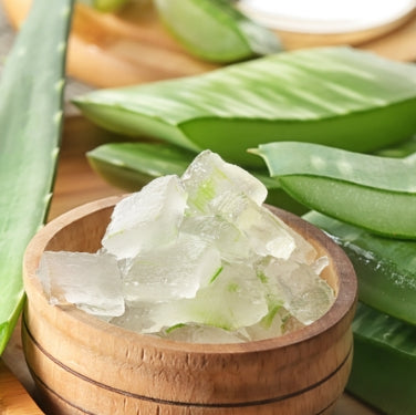 Aloe Vera for Face: Benefits, Uses of Aloe Vera for Skin During Winter